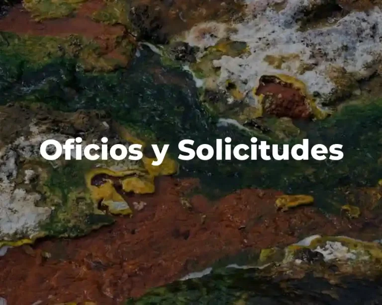 Oficios y Solicitudes