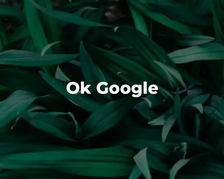 Ok Google