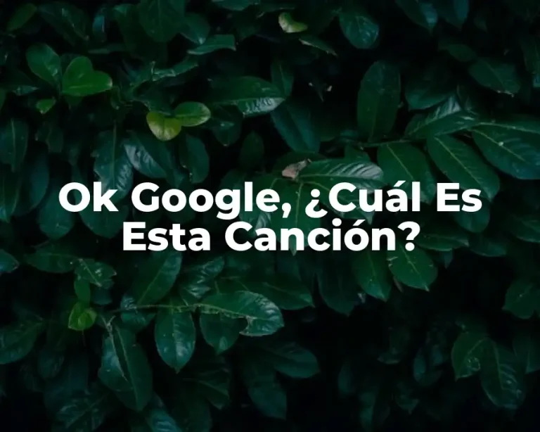 Ok Google, ¿Cuál Es Esta Canción?