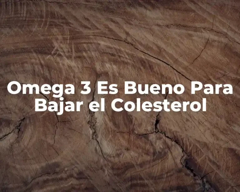Omega 3 Es Bueno Para Bajar el Colesterol