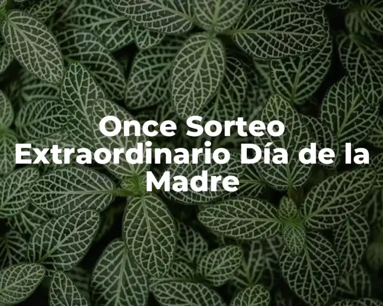 Once Sorteo Extraordinario Día de la Madre