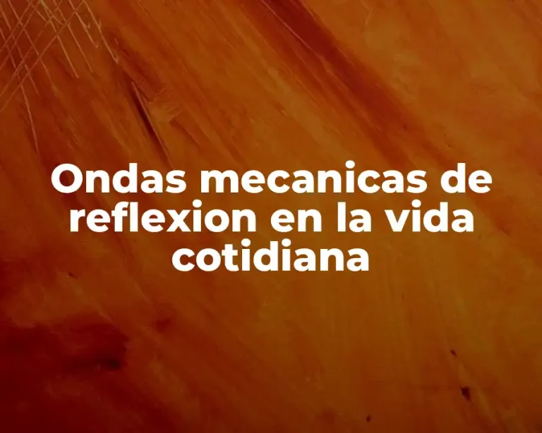 Ondas mecanicas de reflexion en la vida cotidiana