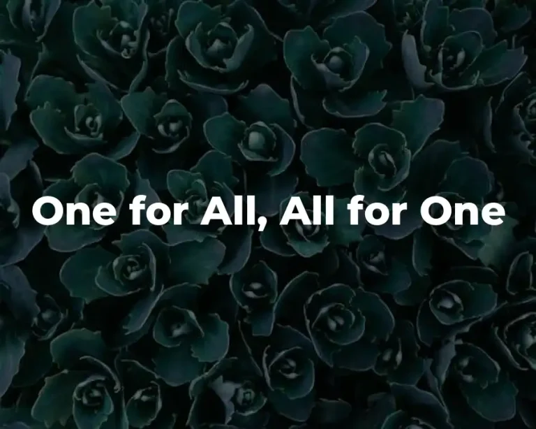One for All, All for One