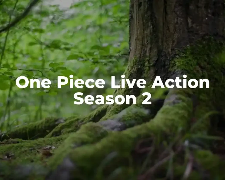 One Piece Live Action Season 2