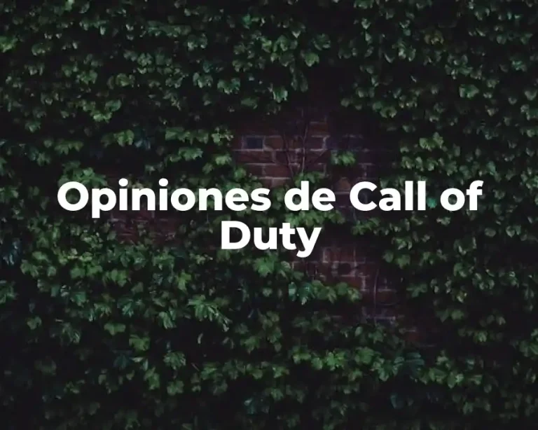 Opiniones de Call of Duty