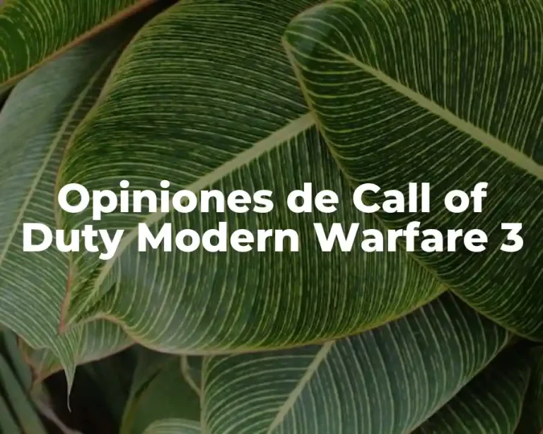 Opiniones de Call of Duty Modern Warfare 3