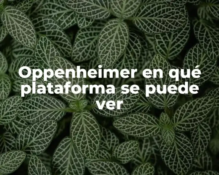 Oppenheimer en qué plataforma se puede ver