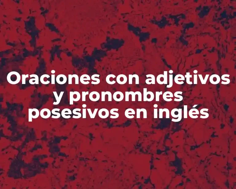 Oraciones con adjetivos y pronombres posesivos en inglés