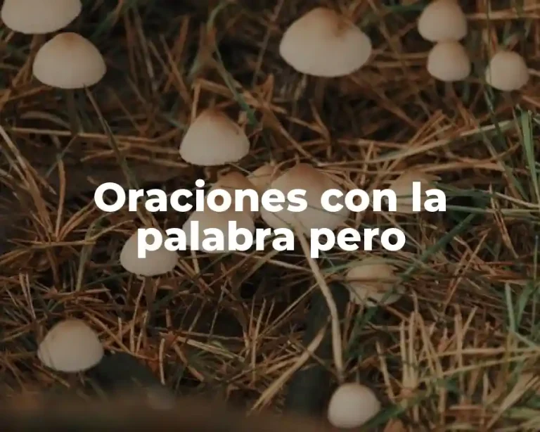 Oraciones con la palabra pero