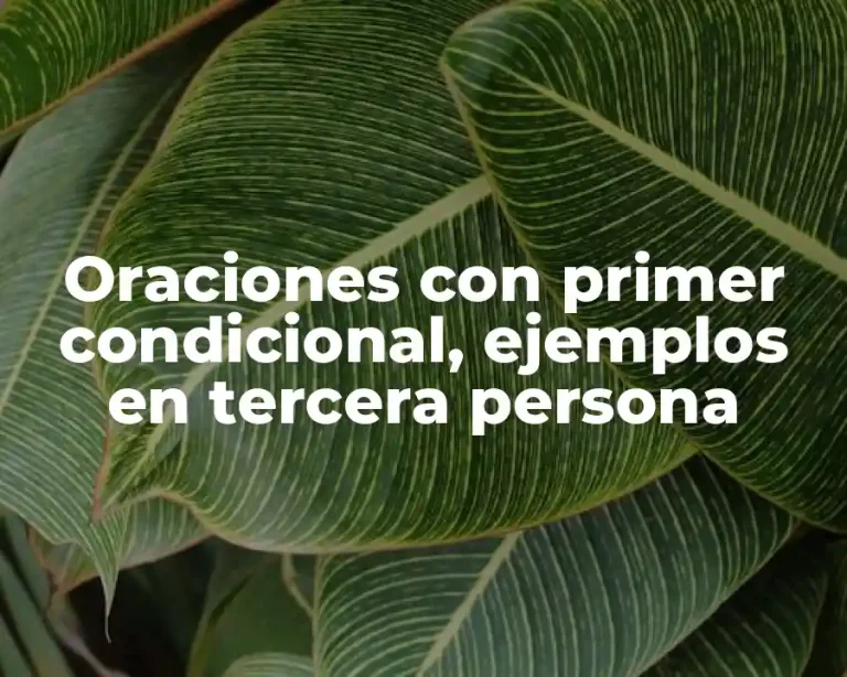 Oraciones con primer condicional, ejemplos en tercera persona