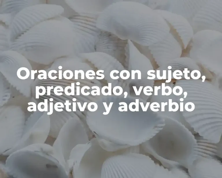Oraciones con sujeto, predicado, verbo, adjetivo y adverbio