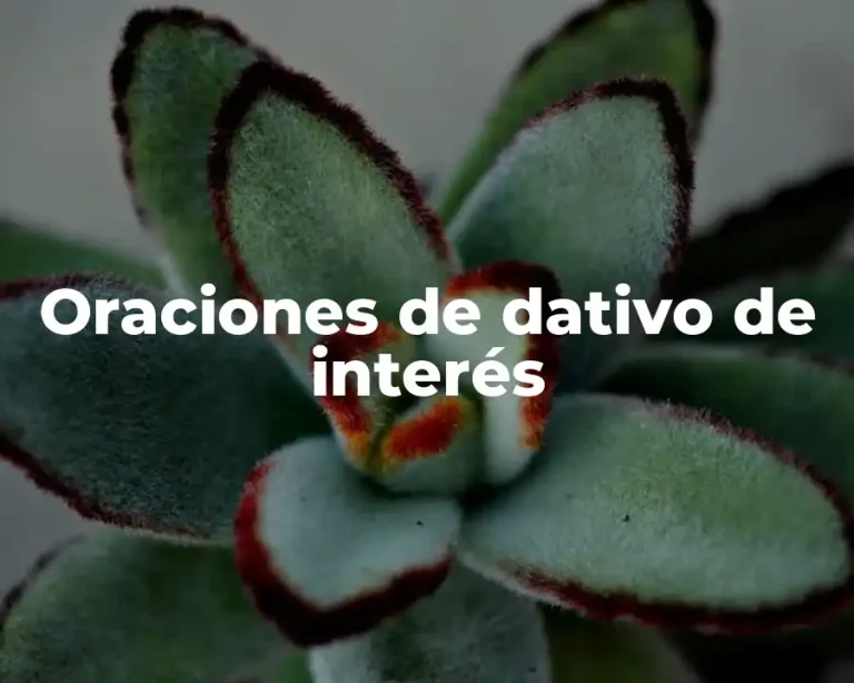 Oraciones de dativo de interés