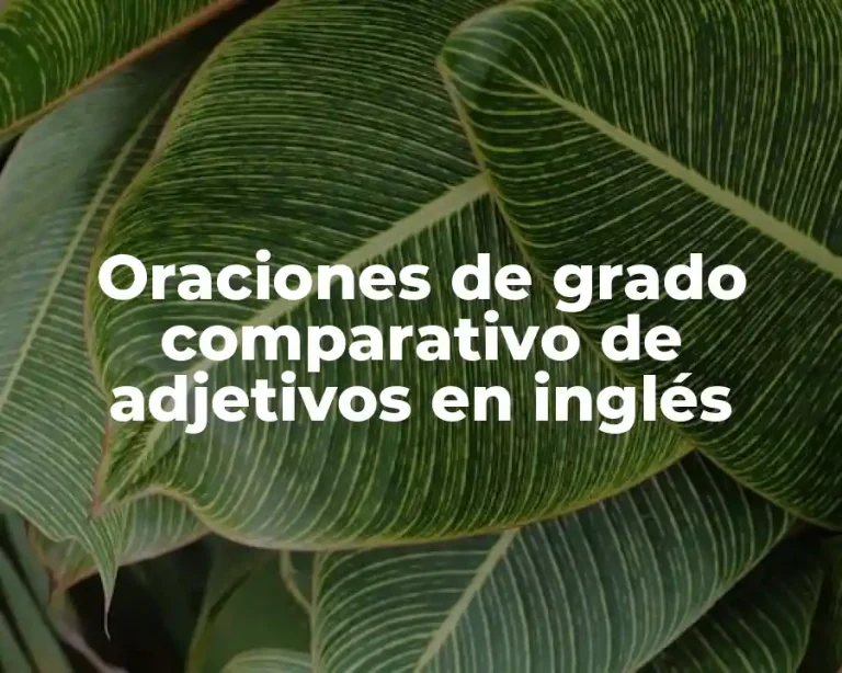 Oraciones de grado comparativo de adjetivos en inglés