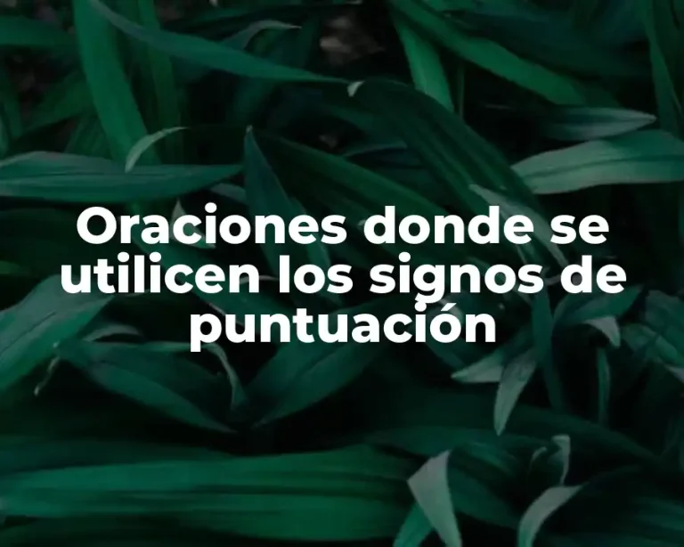 Oraciones donde se utilicen los signos de puntuación
