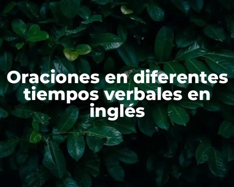 Oraciones en diferentes tiempos verbales en inglés