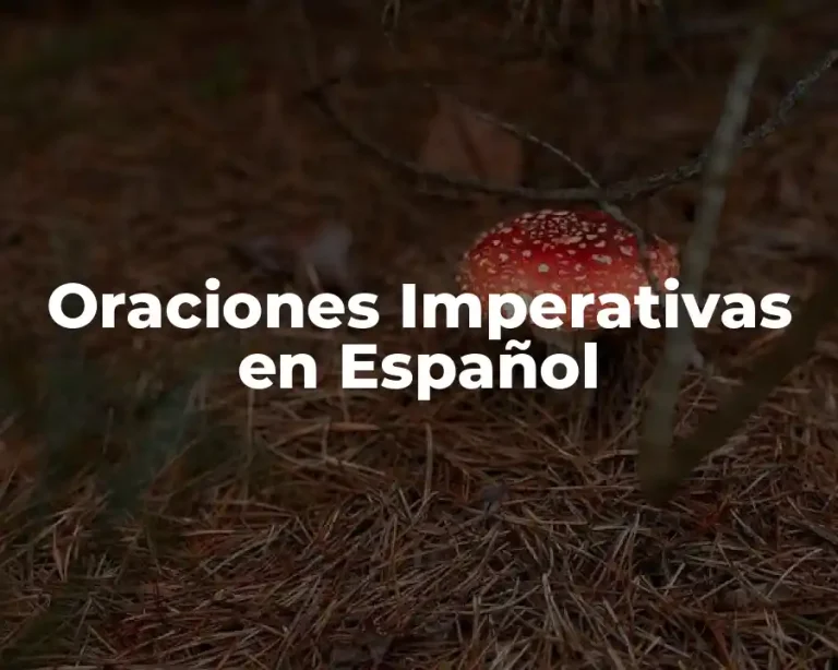 Oraciones Imperativas en Español