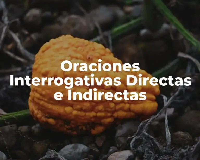 Oraciones Interrogativas Directas e Indirectas