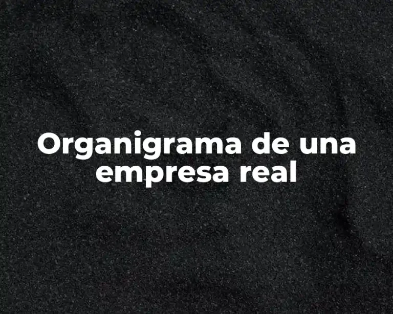 Organigrama de una empresa real
