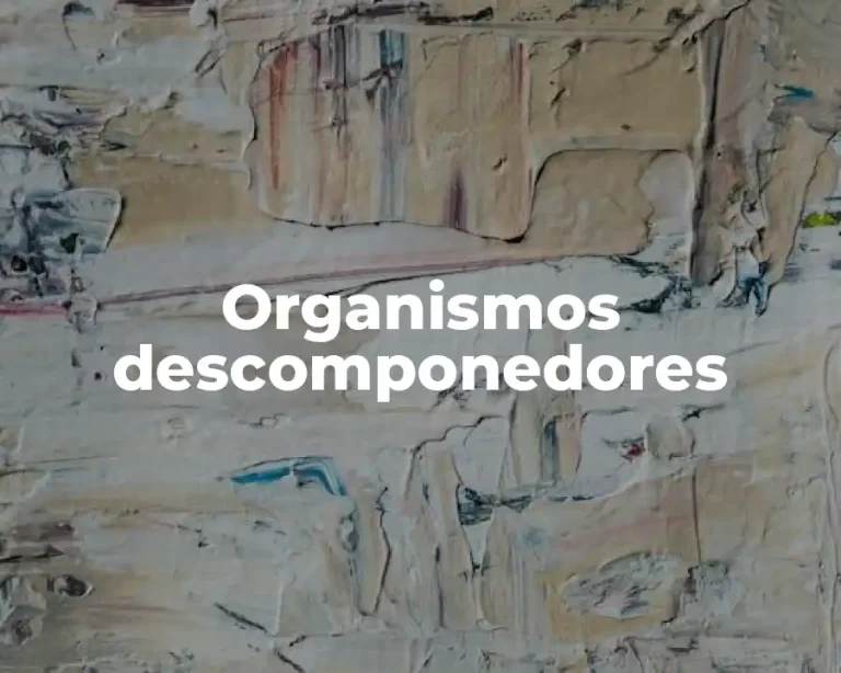 Organismos descomponedores