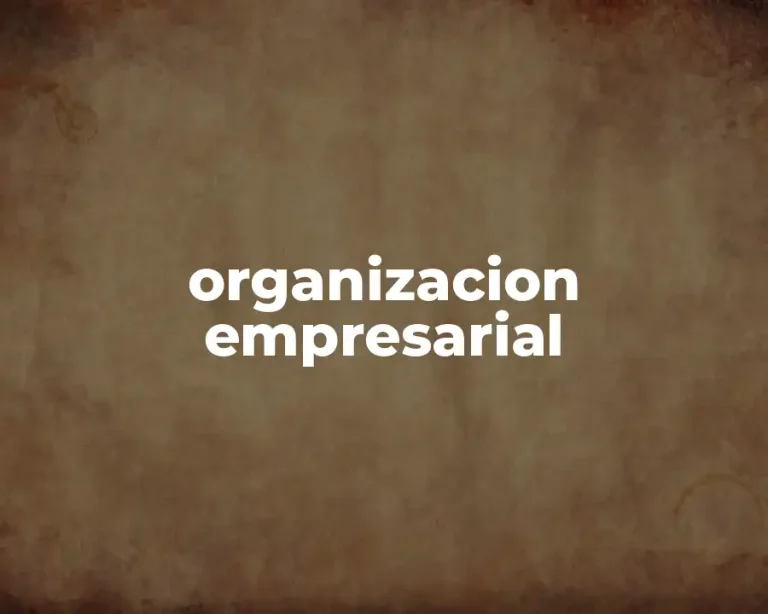 organizacion empresarial