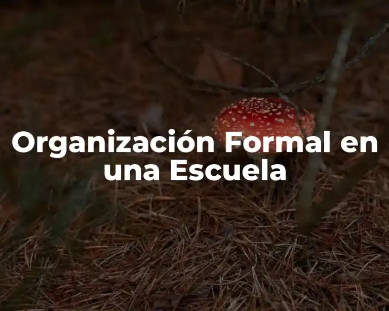 Organización Formal en una Escuela