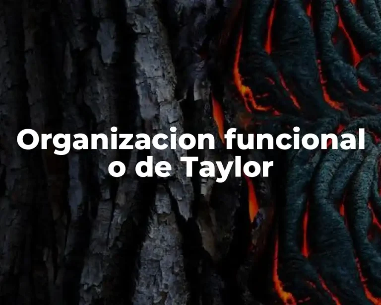 Organizacion funcional o de Taylor