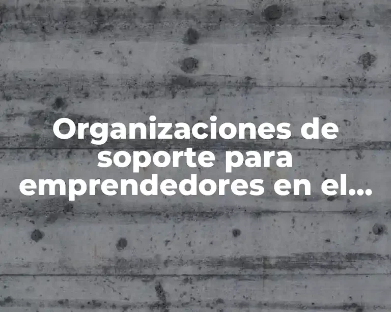 Organizaciones de soporte para emprendedores en el DF