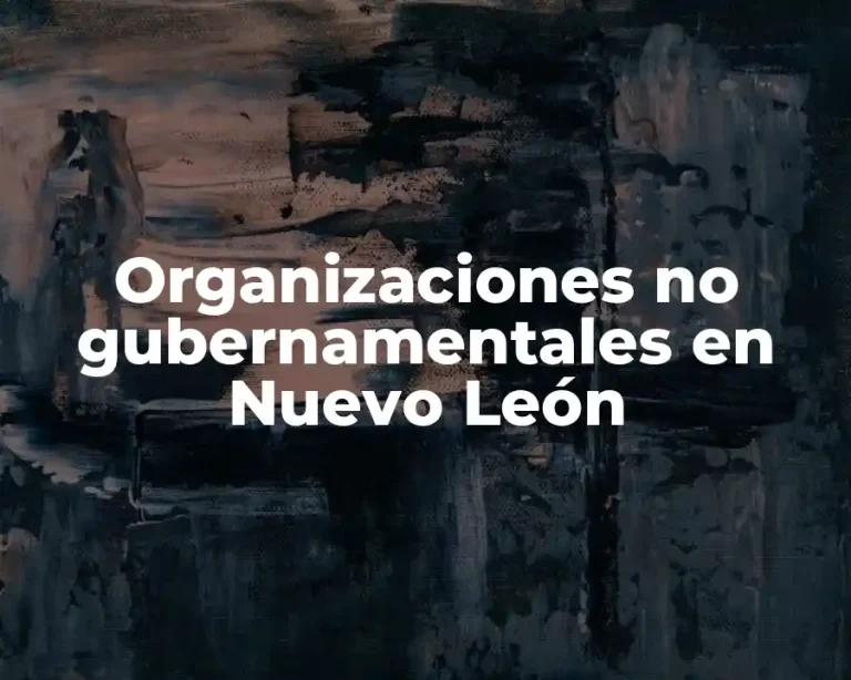 Organizaciones no gubernamentales en Nuevo León