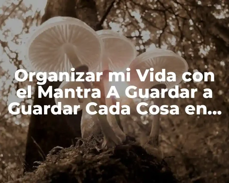 Organizar mi Vida con el Mantra A Guardar a Guardar Cada Cosa en su Lugar Letra