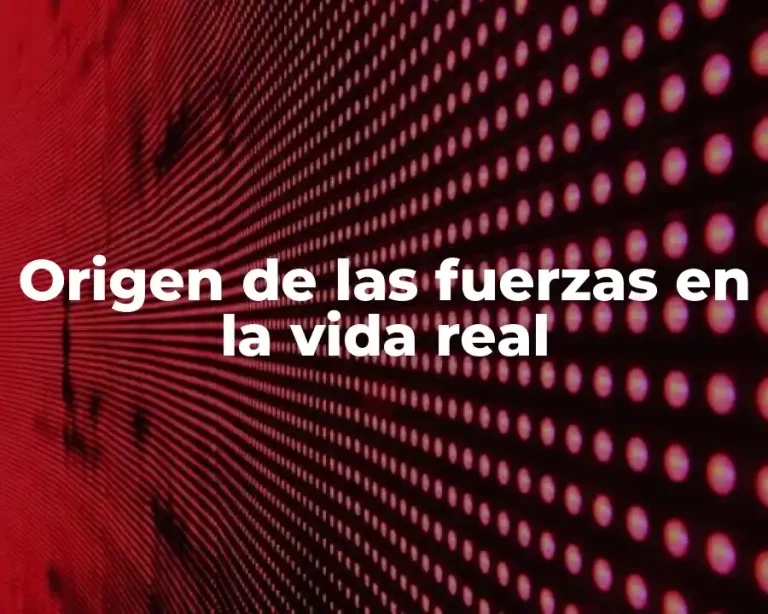 Origen de las fuerzas en la vida real