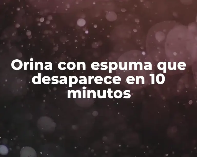 Orina con espuma que desaparece en 10 minutos