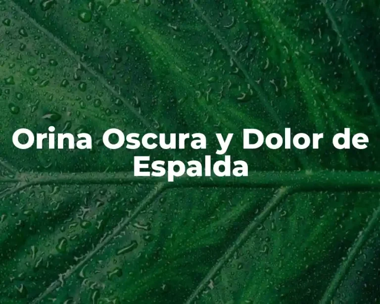 Orina Oscura y Dolor de Espalda