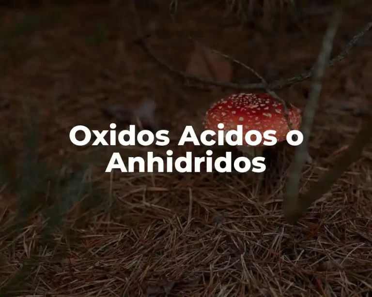 Oxidos Acidos o Anhidridos