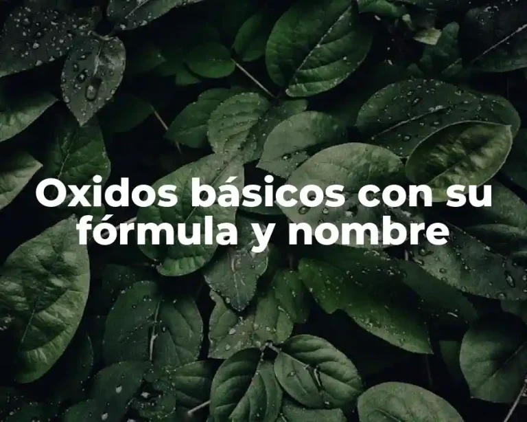 Oxidos básicos con su fórmula y nombre