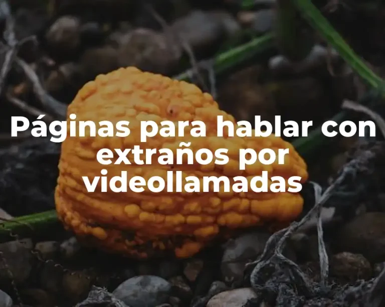 Páginas para hablar con extraños por videollamadas