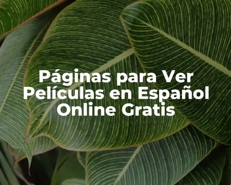 Páginas para Ver Películas en Español Online Gratis