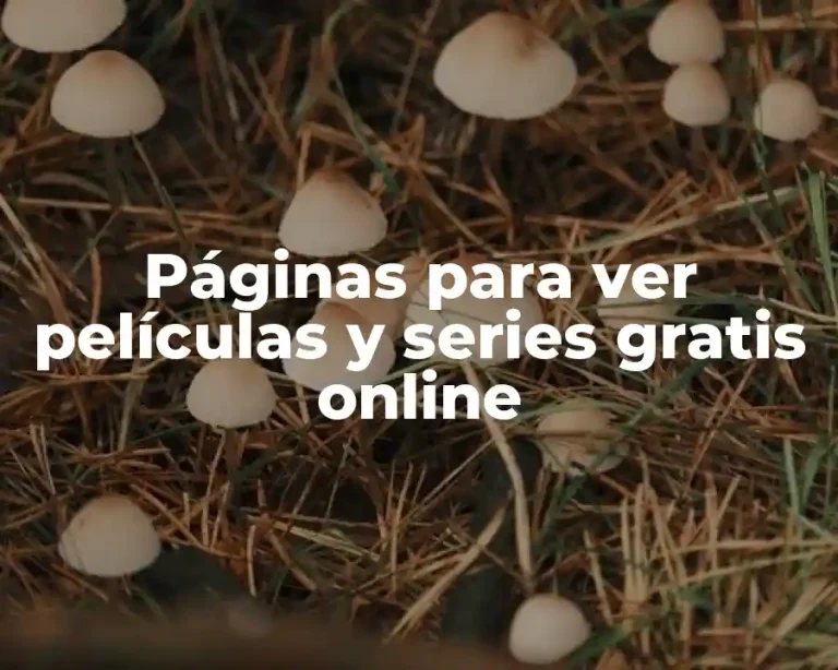 Páginas para ver películas y series gratis online
