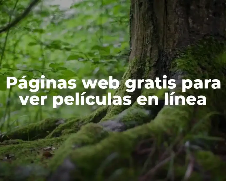 Páginas web gratis para ver películas en línea