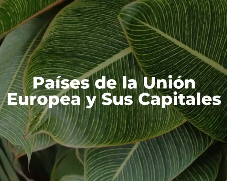 Países de la Unión Europea y Sus Capitales