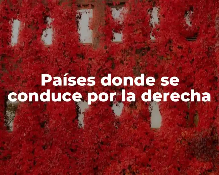 Países donde se conduce por la derecha