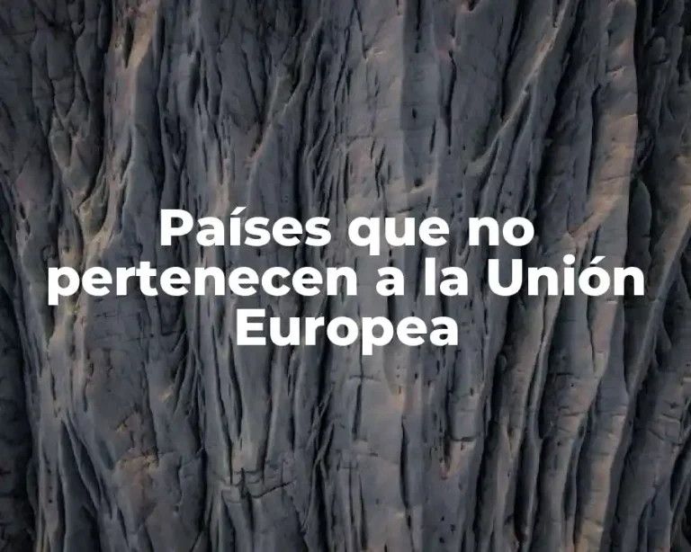 Países que no pertenecen a la Unión Europea