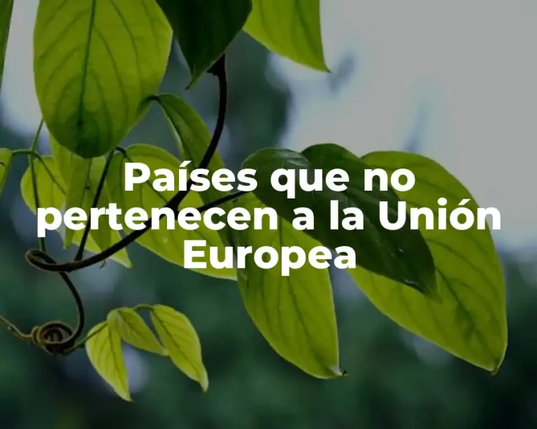 Países que no pertenecen a la Unión Europea
