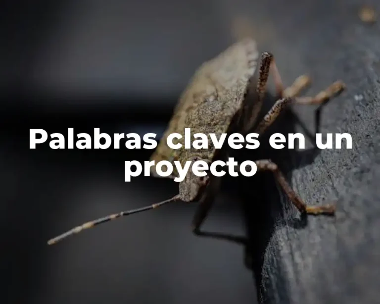 Palabras claves en un proyecto