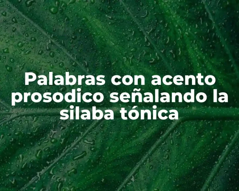 Palabras con acento prosodico señalando la silaba tónica