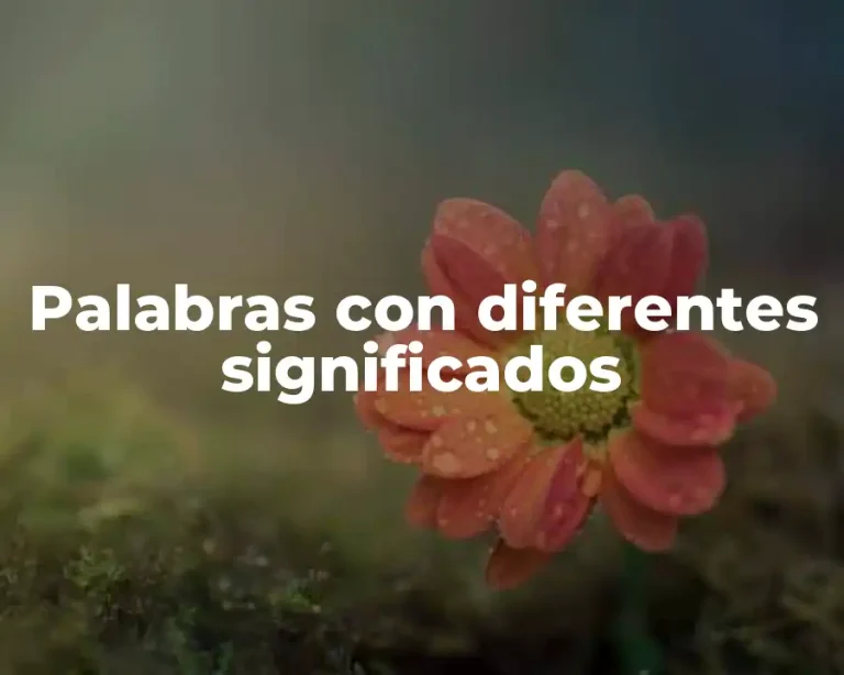 Palabras con diferentes significados