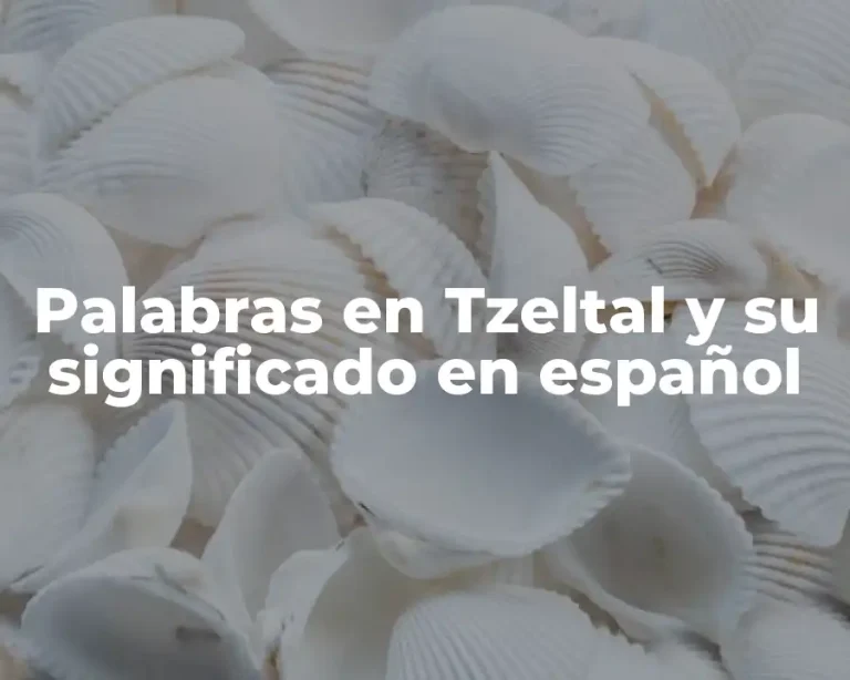 Palabras en Tzeltal y su significado en español