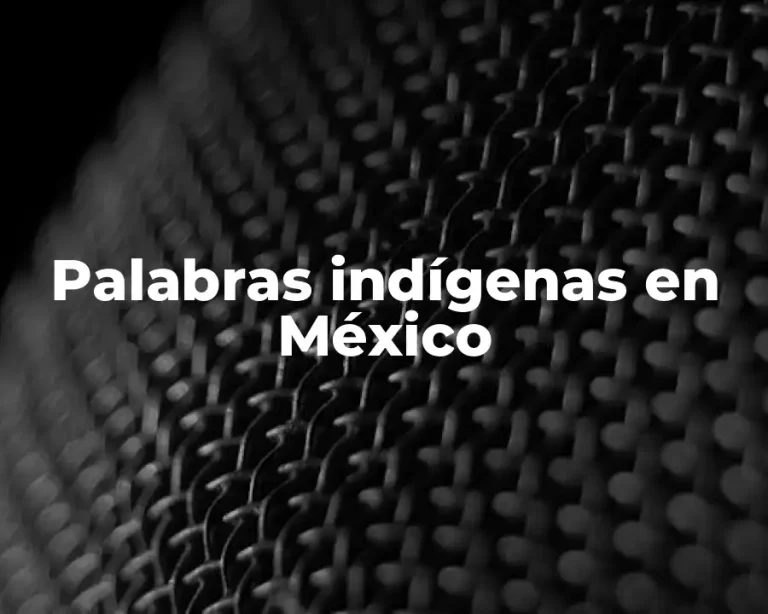 Palabras indígenas en México