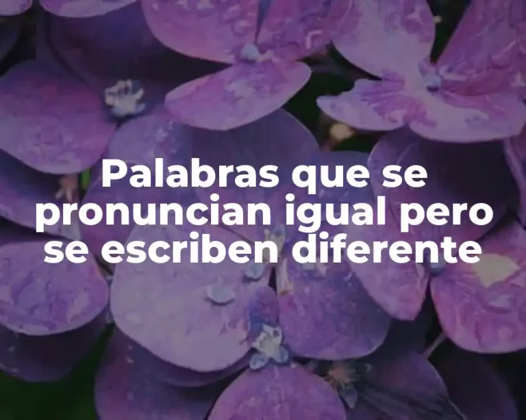 Palabras que se pronuncian igual pero se escriben diferente