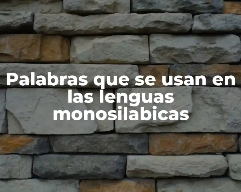 Palabras que se usan en las lenguas monosilabicas