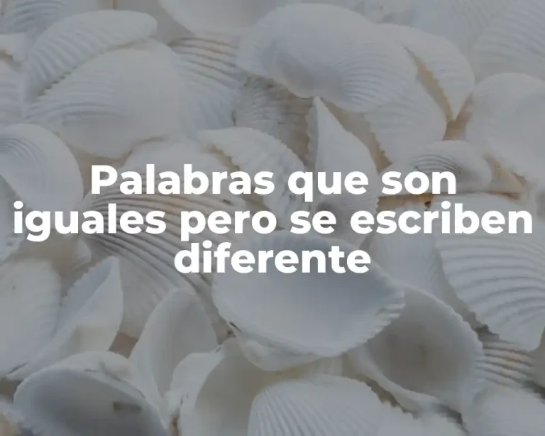 Palabras que son iguales pero se escriben diferente